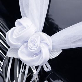 Detailansicht der weißen Hochzeitsgirlande mit Rosenblüten entlang der Motorhaube eines Fahrzeugs.