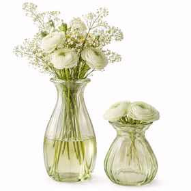 Glasvasen Set „Corolle“ 2er – Mini & große Blumenvase Tisch-Deko Rosa Grün Transparent Blumenvasen gedeckter Tisch Familienfest Hochzeit Geburtstag Jubiläum Kommunion Möbel & Wohnen Accessoires Grüne Glasvasen mit frischen Blumen auf weißem Hintergrund.