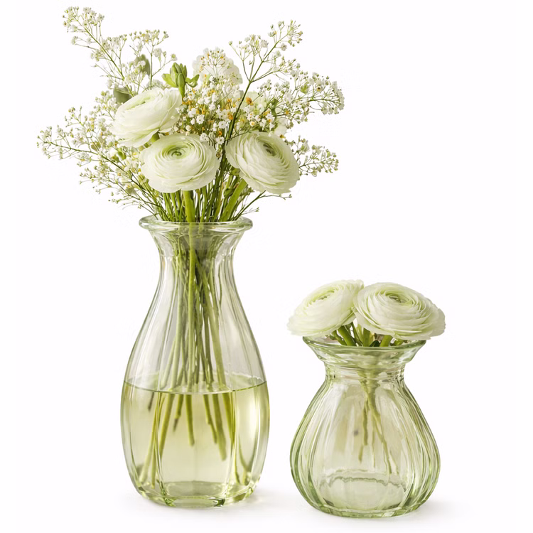 Glasvasen Set „Corolle“ 2er – Mini & große Blumenvase Tisch-Deko Rosa Grün Transparent Blumenvasen gedeckter Tisch Familienfest Hochzeit Geburtstag Jubiläum Kommunion Möbel & Wohnen Accessoires Grüne Glasvasen mit frischen Blumen auf weißem Hintergrund.