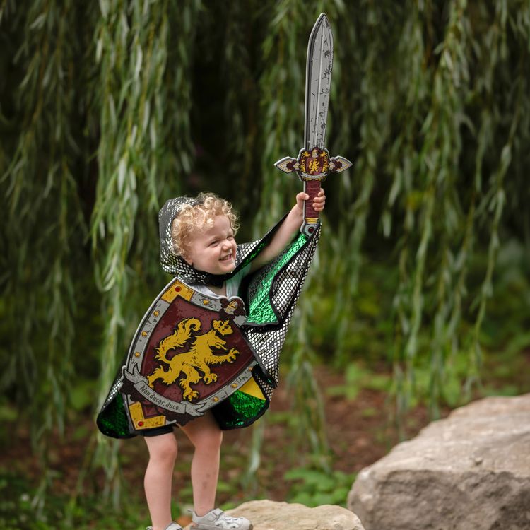 Ritter Set mit Schwert und Schild aus EVA Schaumstoff mit Löwenwappen auf weißem Hintergrund.