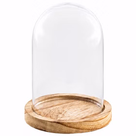 Glasglocke mit Holzsockel Freisteller Transparente Glasglocke mit gewölbter Haube auf rundem naturfarbenem Holzsockel vor weißem Hintergrund.