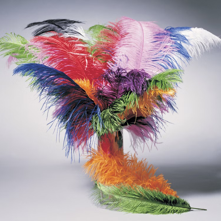 Straußenfeder rot 35-40 cm Kostüm-Zubehör Fasching Karneval Mottoparty Bastelbedarf DIY Straußenfeder rot 35-40 cm Kostüm-Zubehör Fasching Karneval Mottoparty Bastelbedarf DIY