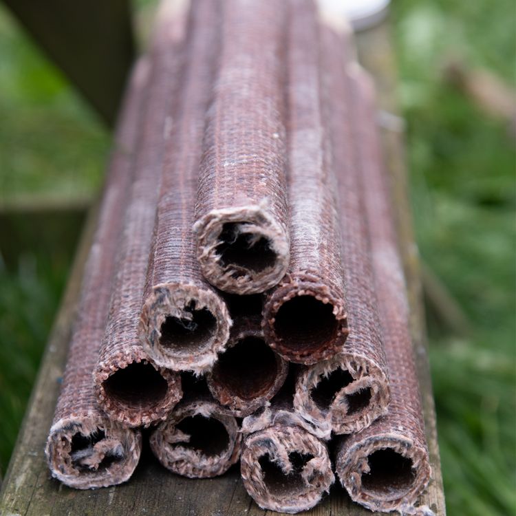 Fackel 70 Min. Brenndauer 40cm Wachsfackel hohe Qualität Wachsfackel 70 Min. Brenndauer Fackel 40 cm lang Wanderung Fackelumzug Tuchfackel Fackelwanderung Gartenfeuer Party Deko