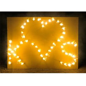 Lichterbild Brennendes Herz zwei Buchstaben Lichterbilder Feuerwerk Feuerbild Geschenkidee Hochzeit Verlobung Heiratsantrag 
