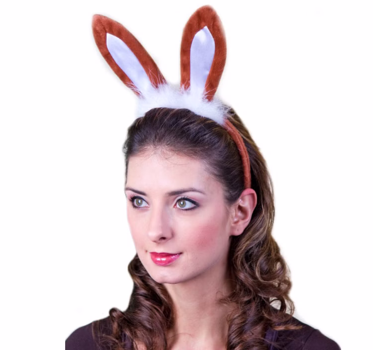 Hasen-Ohren braun Haarreif mit Osterhasen-Ohren für Kinder und Erwachsene Kostüm-Zubehör Fasching Karneval Mottoparty Kinderfasching Ostern Osterfest Osterhase Deko Hasen-Ohren braun Haarreif mit Osterhasen-Ohren für Kinder und Erwachsene Kostüm-Zubehör Fasching Karneval Mottoparty Kinderfasching Ostern Osterfest Osterhase Deko